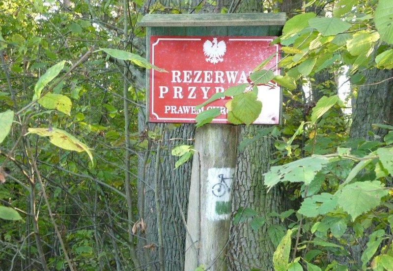 Rezerwat przyrody "Hołda"