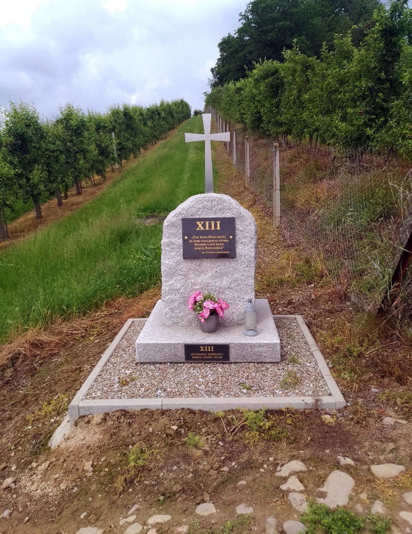 Poznaj perełkę wśród sadów - 5