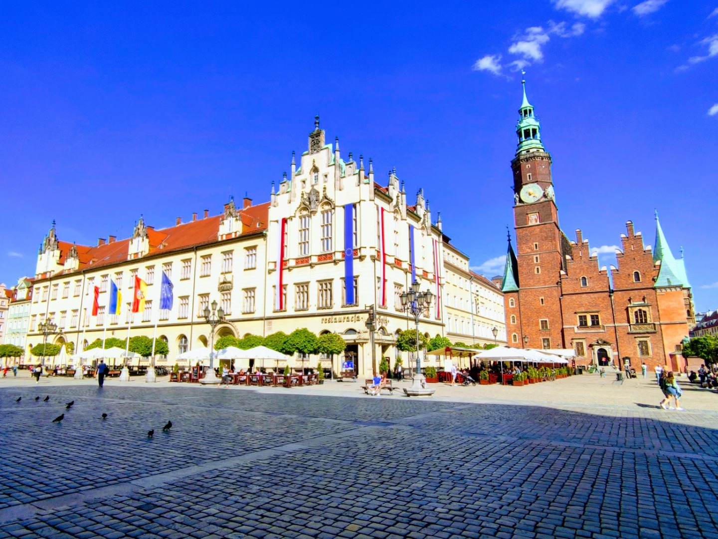 Z WrocLovkiem po Wrocławiu - 4