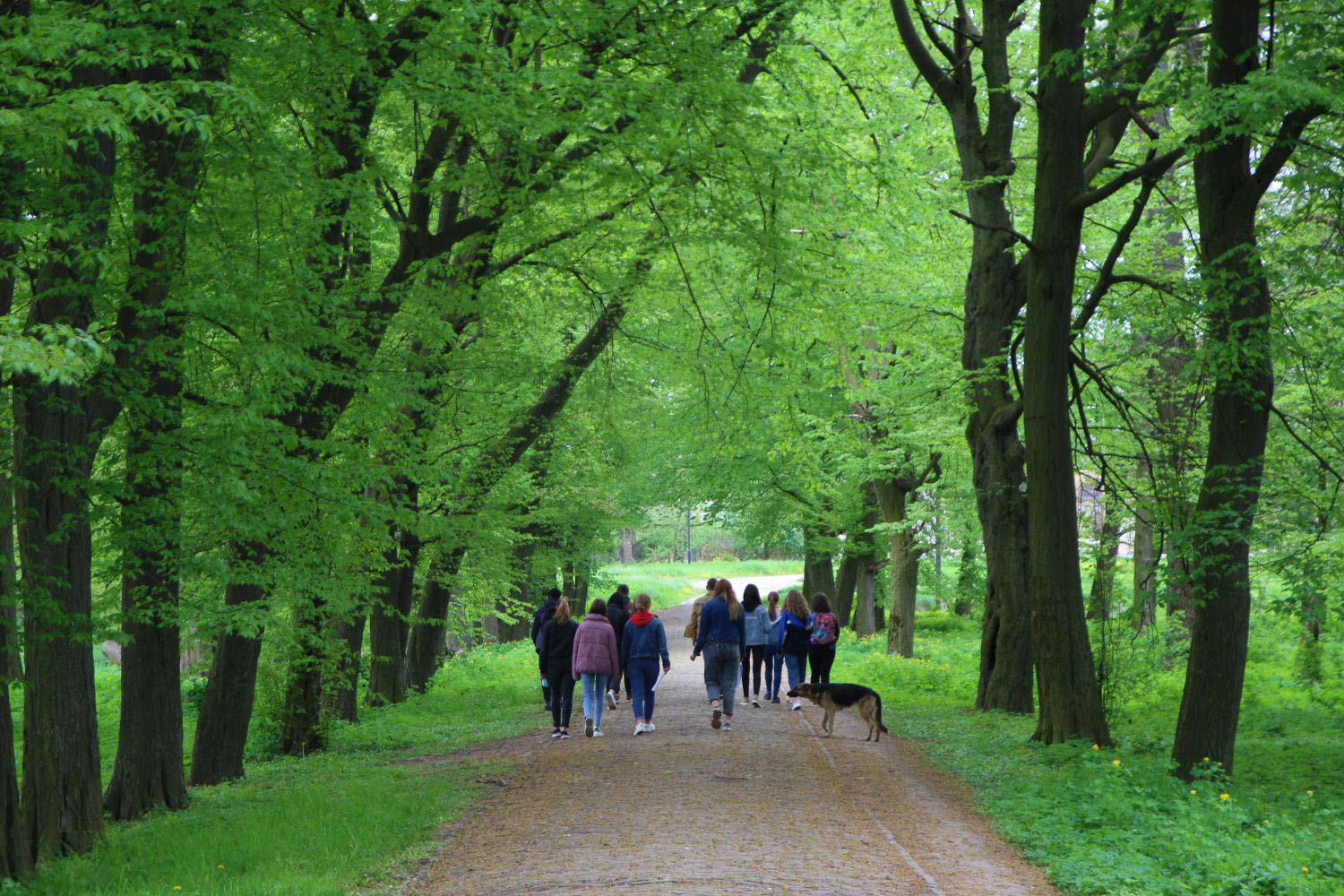 Tartakowska perła - 3
