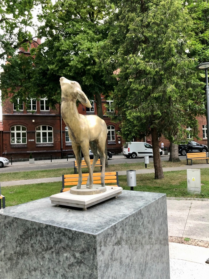 Trzcianka - tropem historii - 3