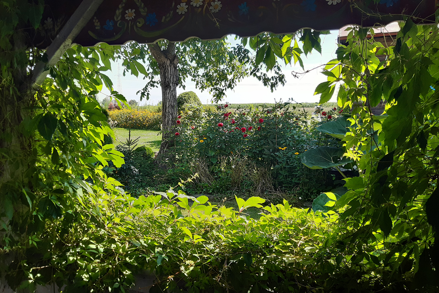 Sekrety Krainy Rumianku - 5