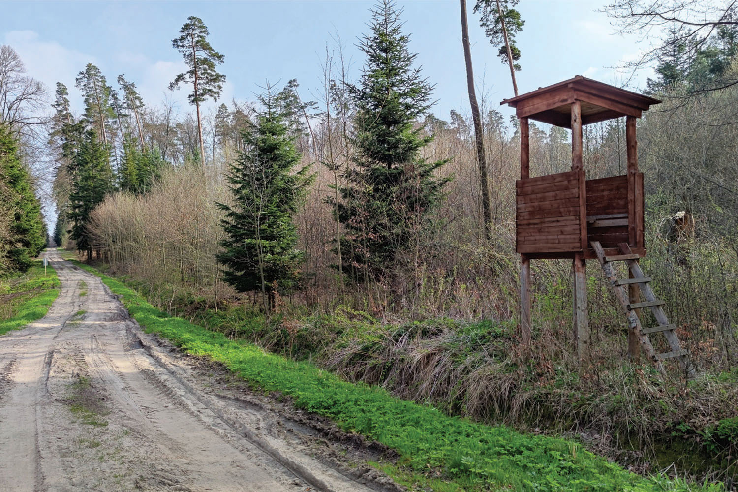 Wydrze - skarby lasów rodu Potockich - 4