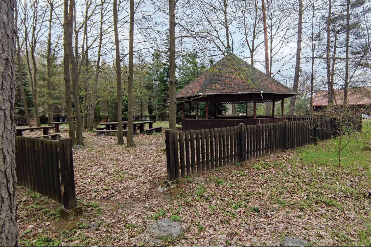 Wydrze - skarby lasów rodu Potockich - 5