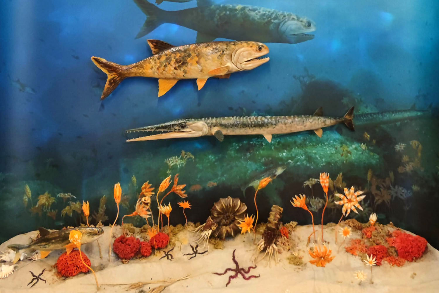 GEOsfera. Spacer po dnie triasowego morza - 5