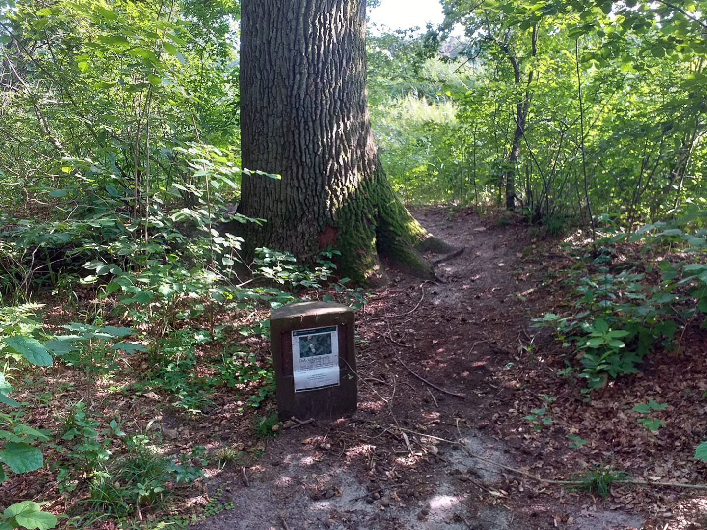 Skarby Zimnych Dołów - 4