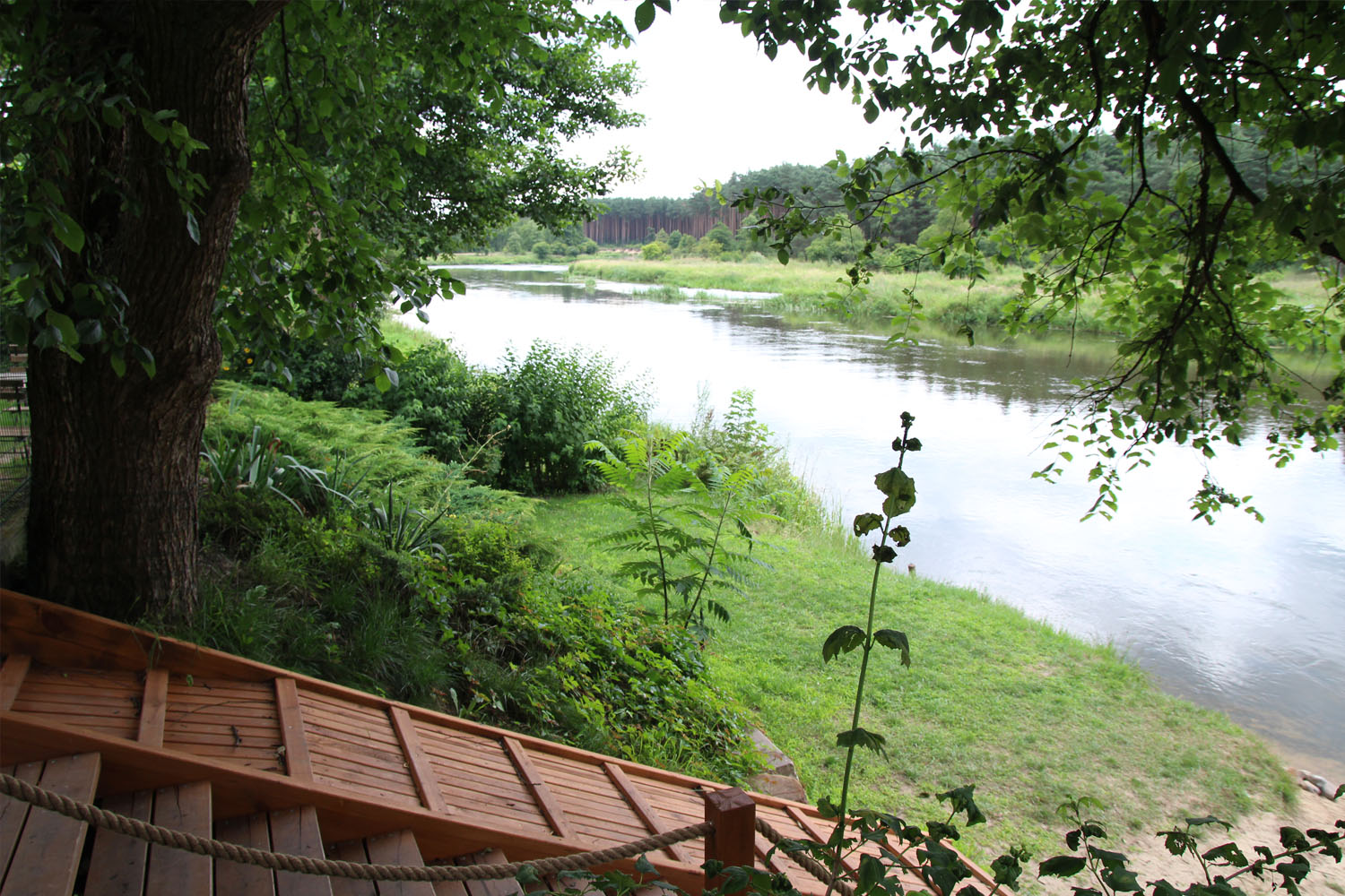 Kajakiem po skarby Pilicy - 4