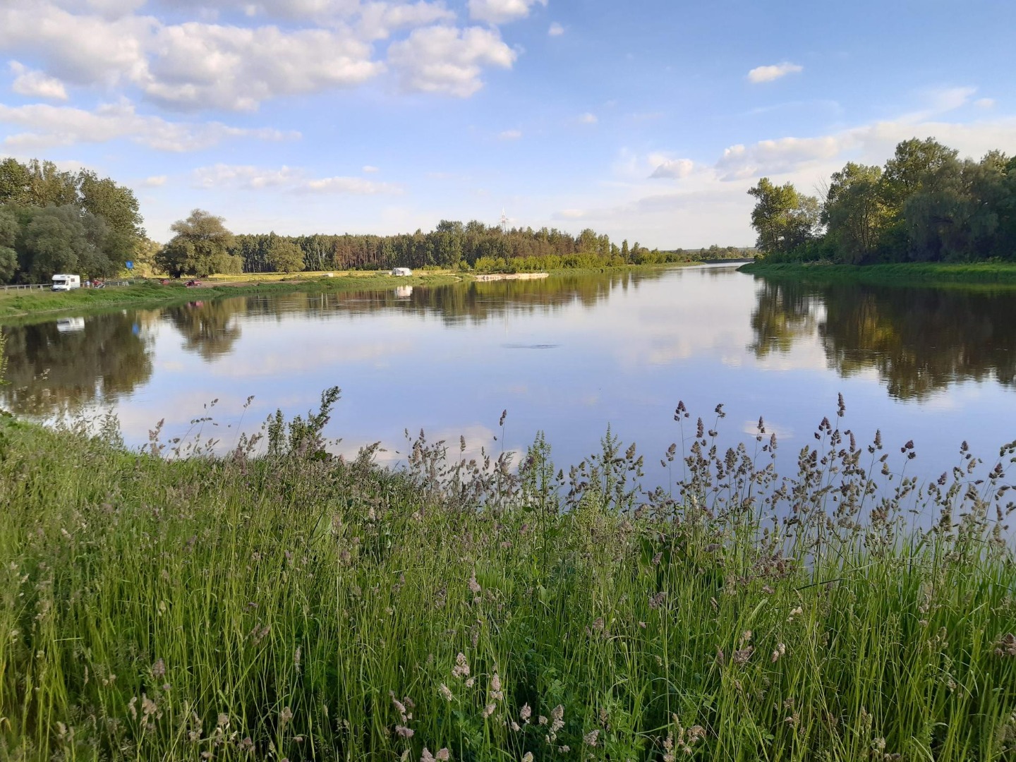 Drohiczyn. Spacer nad Bugiem - 4