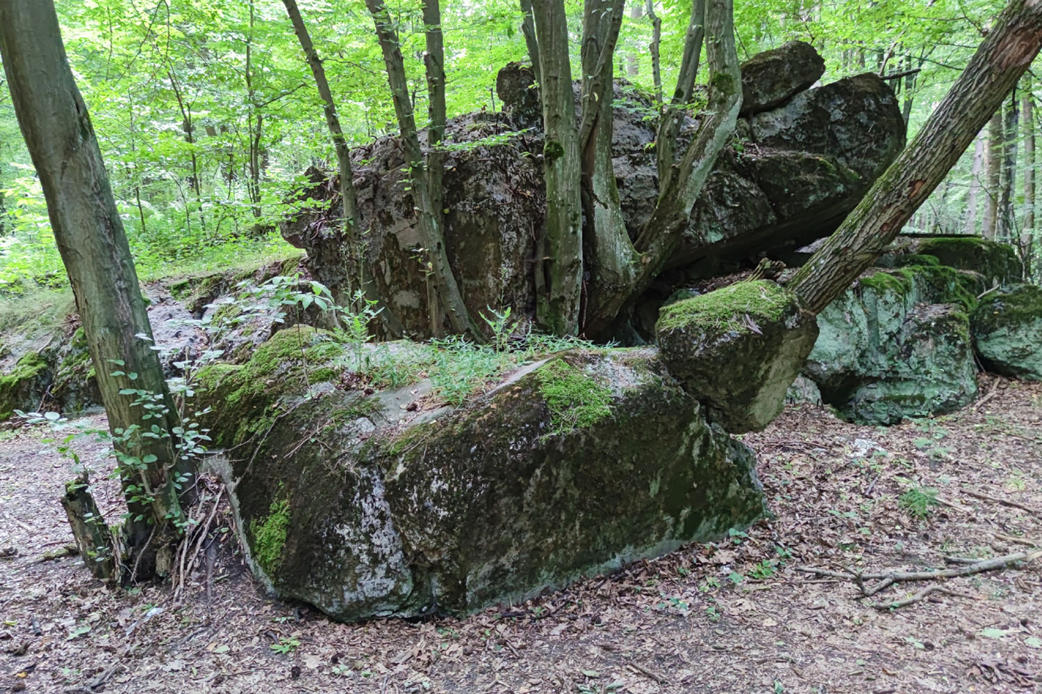 Wyprawa po skarby gminy Lubochnia - 5