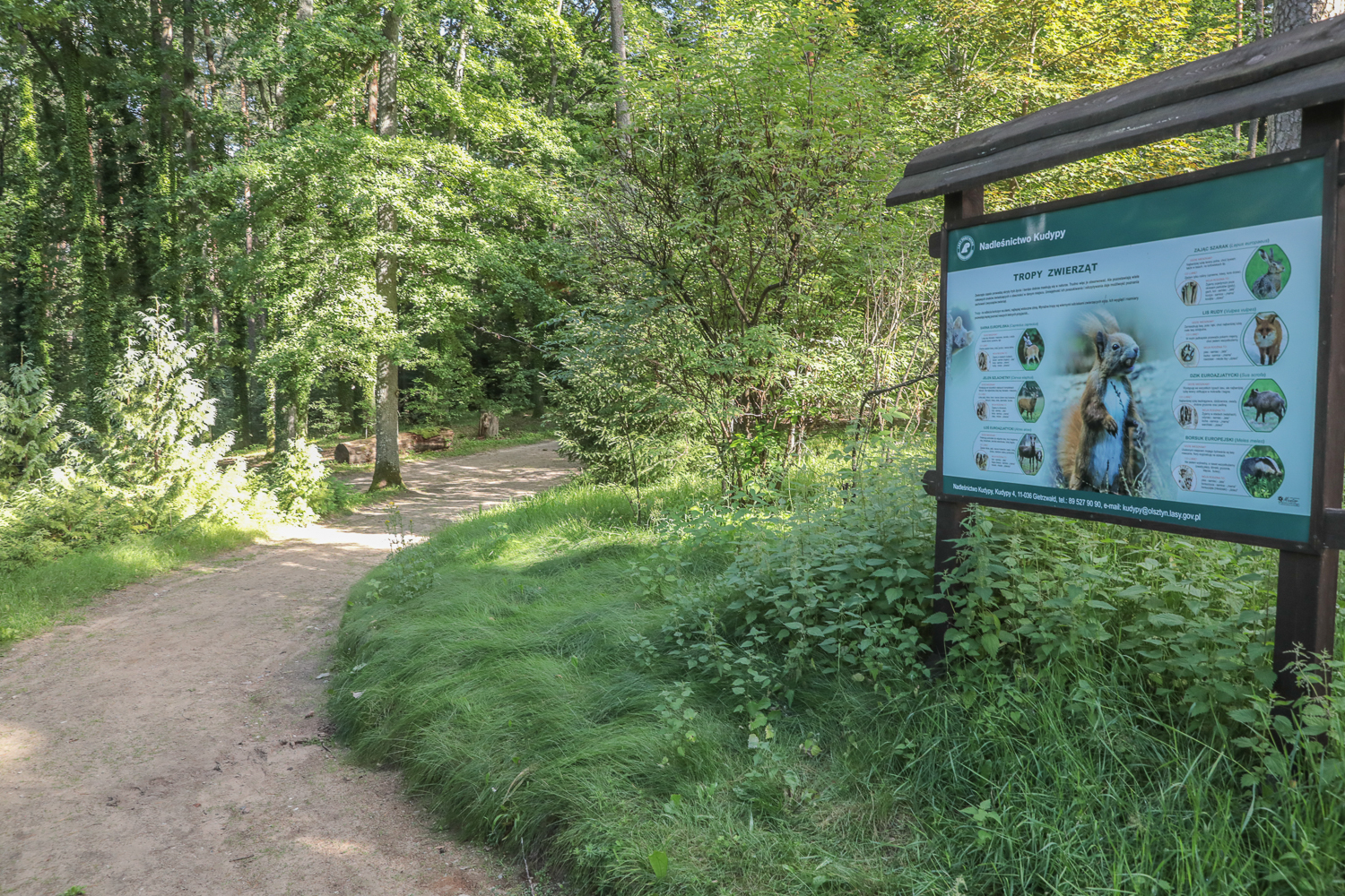 Wyprawa po Leśnym Arboretum Warmii i Mazur - 2