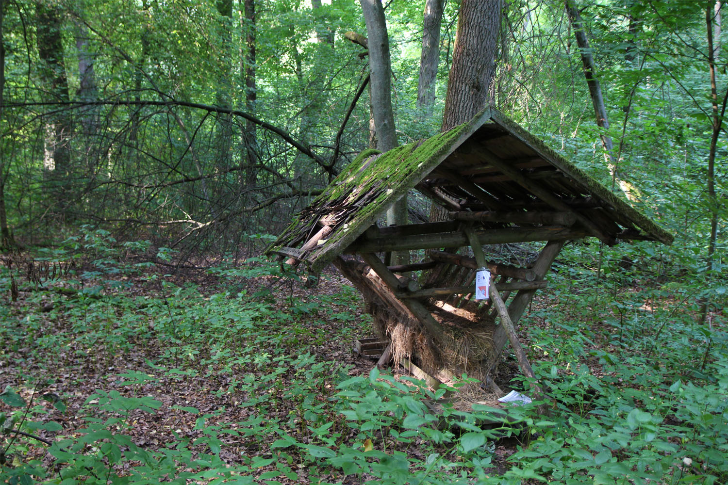 Szlakiem przyrodniczych podbojów Złotowa – wielkopolskich zdrojów - 4