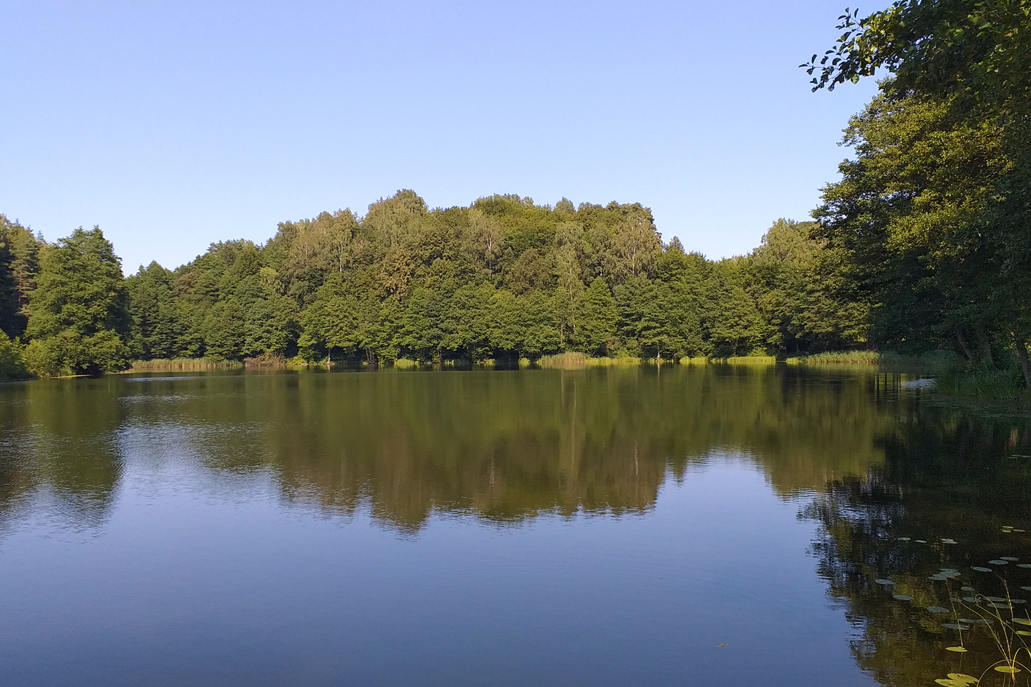 Duchy Jaćwieży na Górze Zamkowej w Szurpiłach - 4