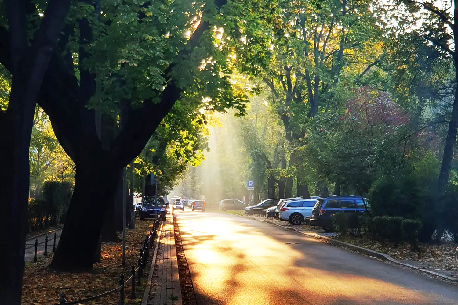 Spacer po starej Krowodrzy - 3