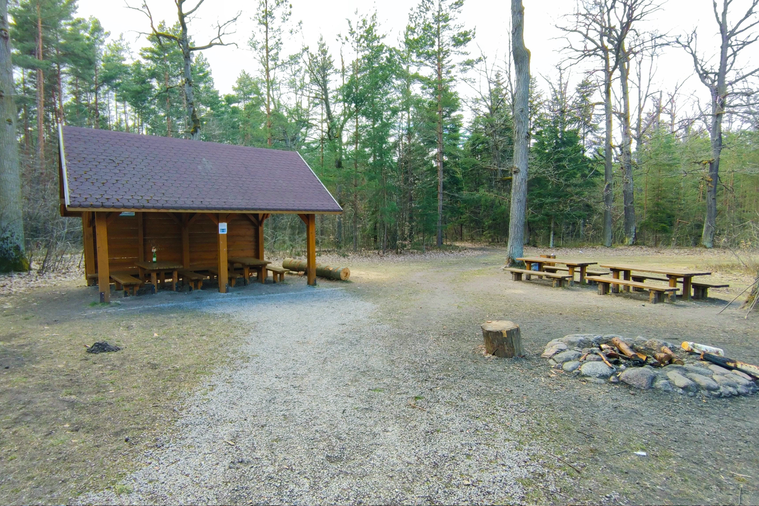 Szlakiem czterech rezerwatów w Puszczy Kozienickiej - 4