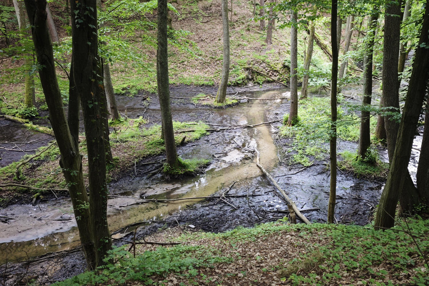 Garbatka-Letnisko: szlakiem historii i przyrody - 2