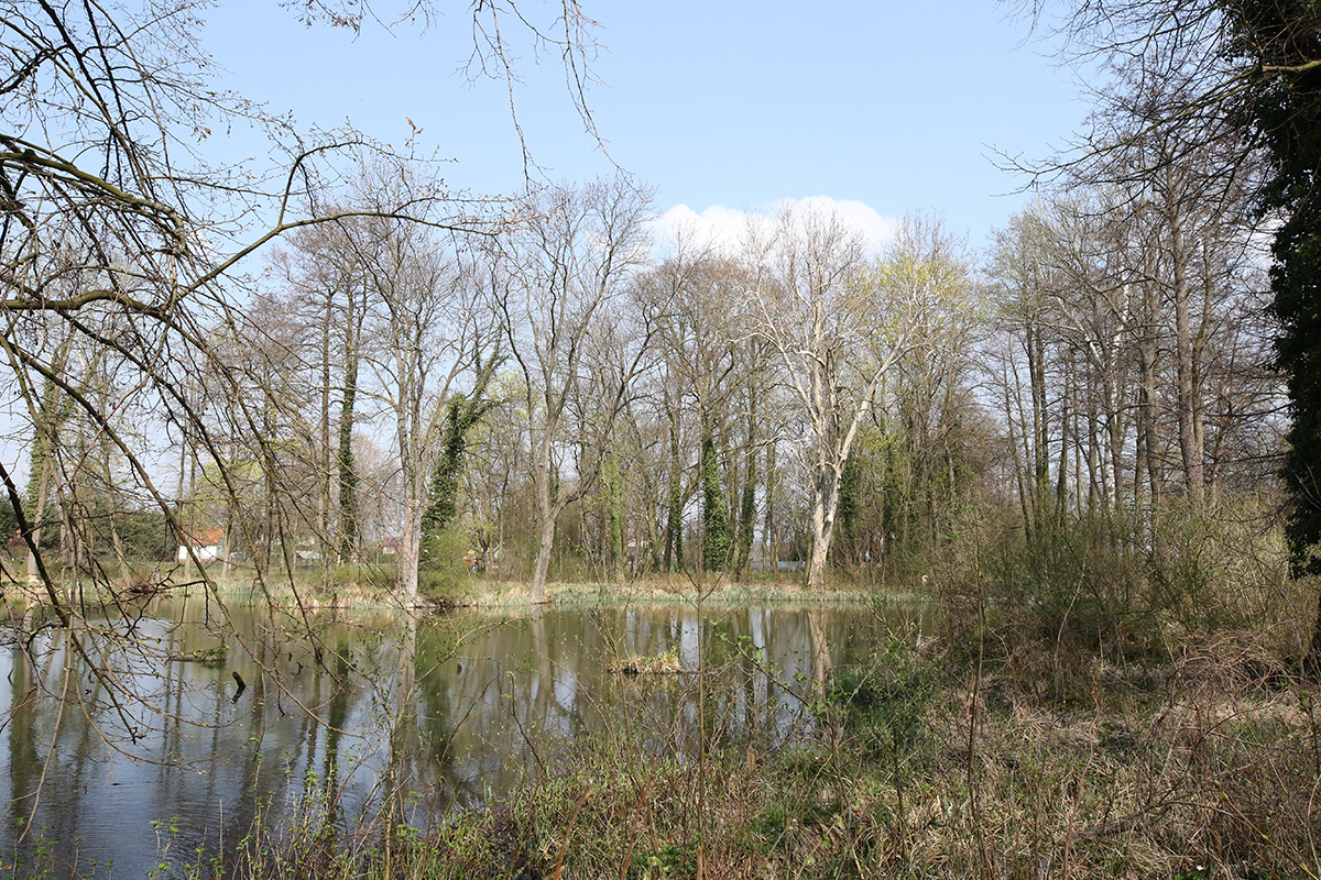 Tajemnice Książęcego Uroczyska - 3