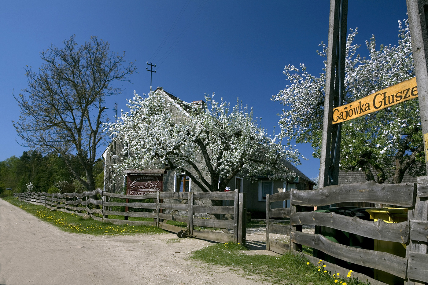 Wędrówki z przyrodą w Borówkach - 4