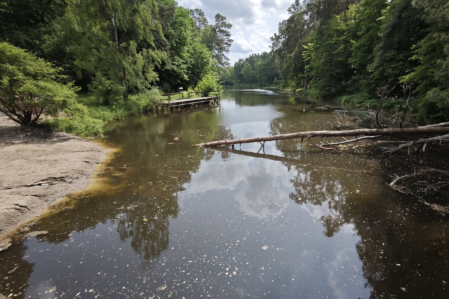 Garbatka-Letnisko: szlakiem historii i przyrody - 3