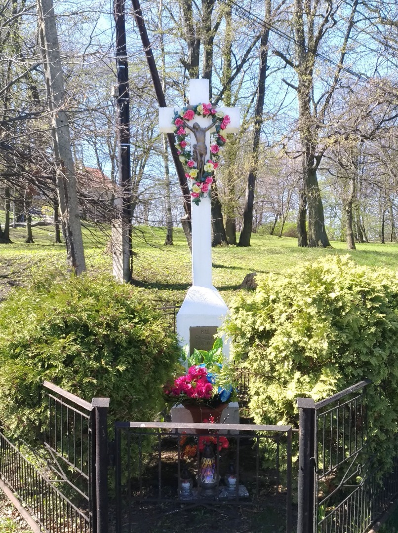 Bolęcin - śladami Andrzeja Chwaliboga - 2