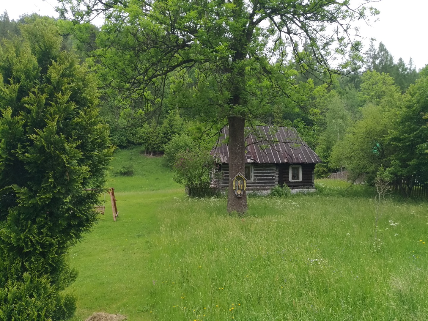 Czarna Woda - na rusnackim szlaku - 2