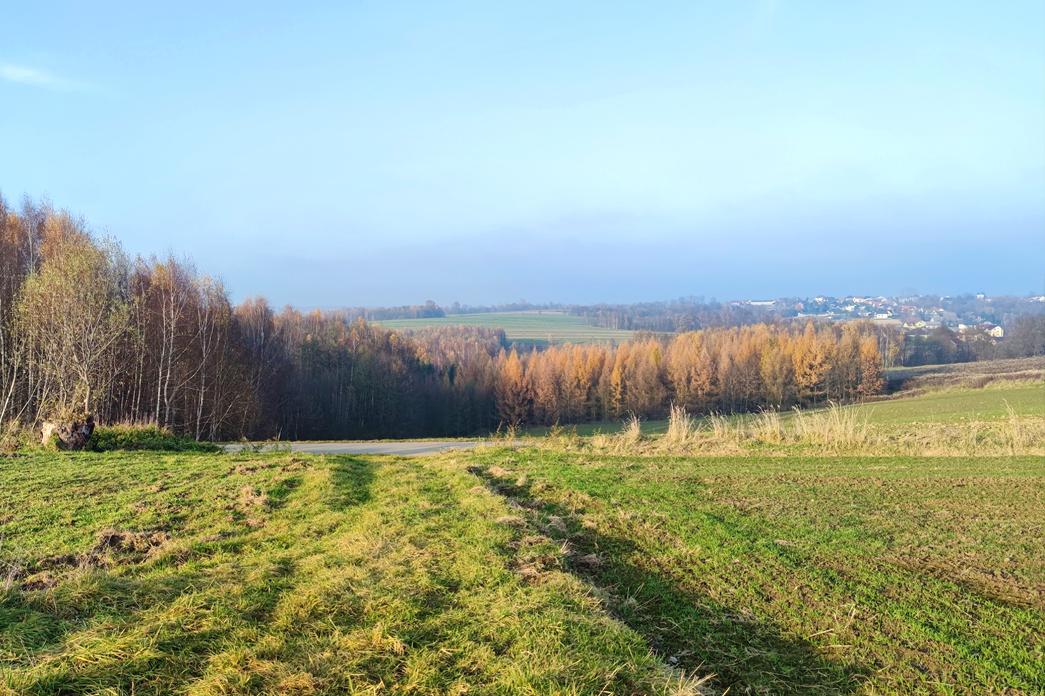 Szlakiem wikliniarstwa w Woźnikach - 5