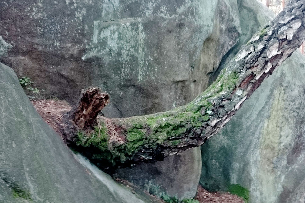 Legendy  Diabelskiego  Kamienia - 3