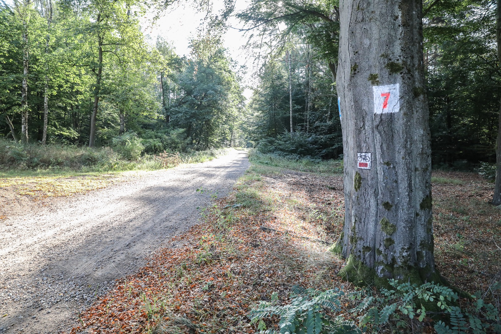 Rowerem wokół jeziora Lubie - 2