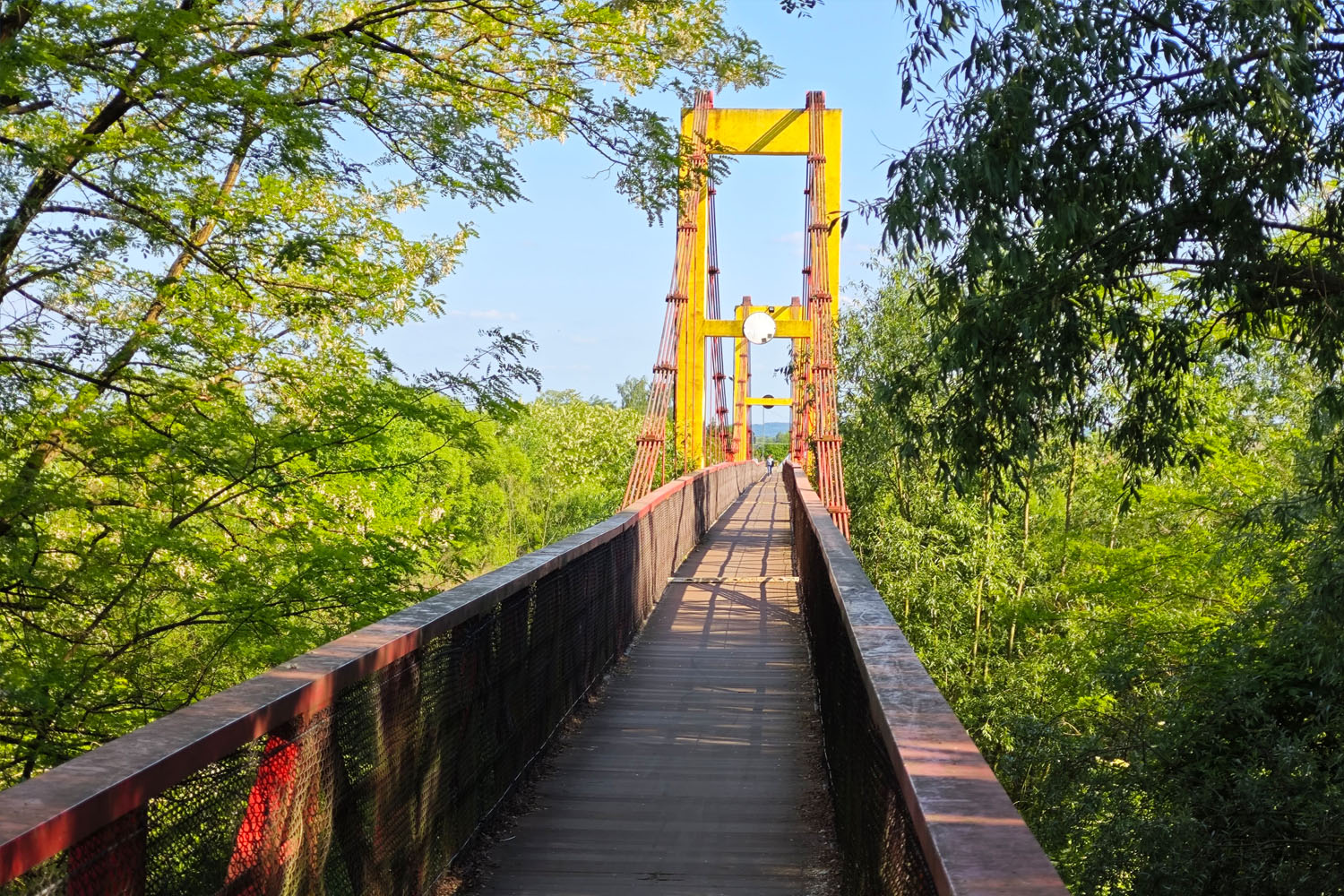 W puszczy, w rzek dolinach. Rajd przez gminę Drwinia - 2