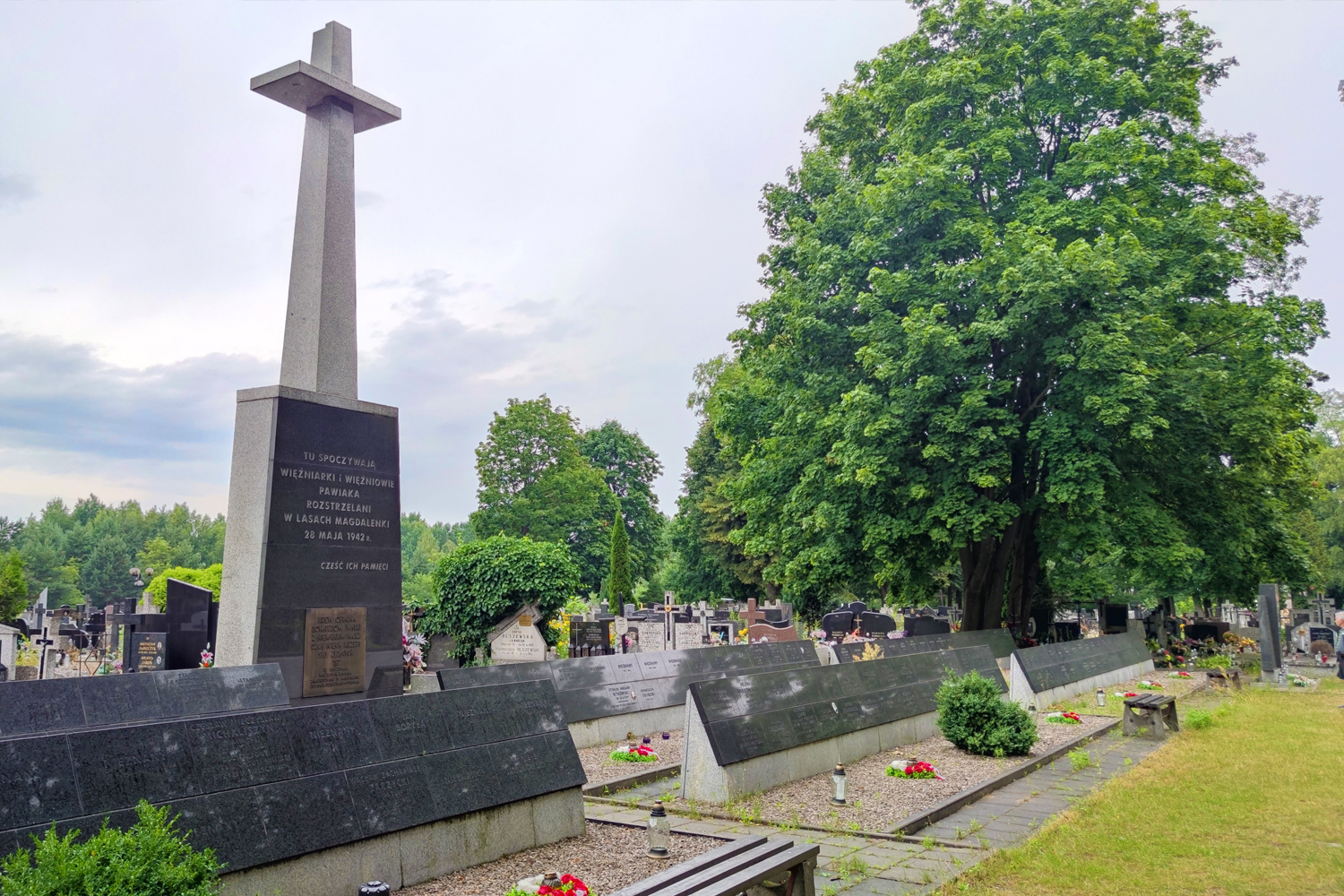 Zagadki Magdalenki - 3