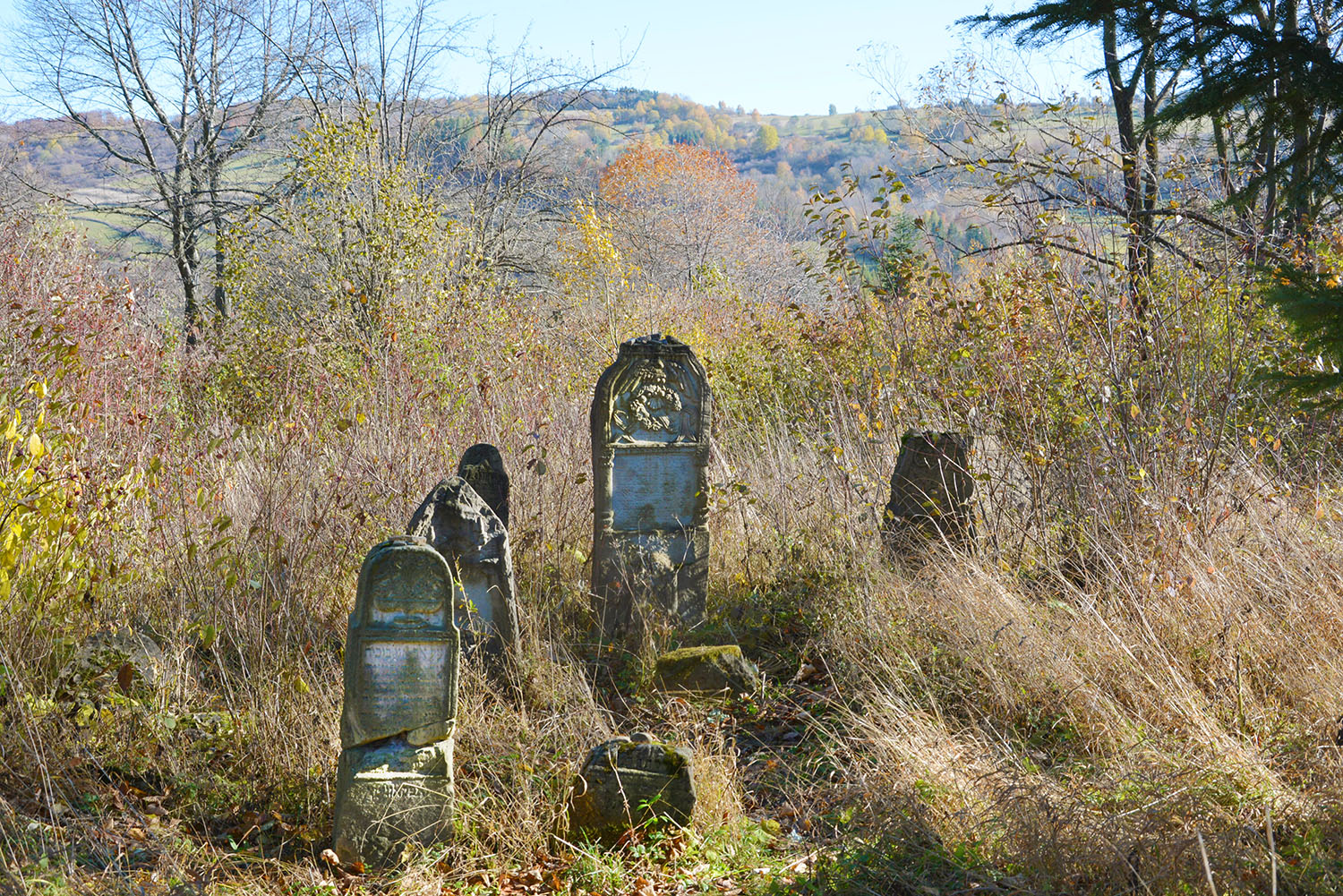 Ścieżkami dziejów Baligrodu - 5