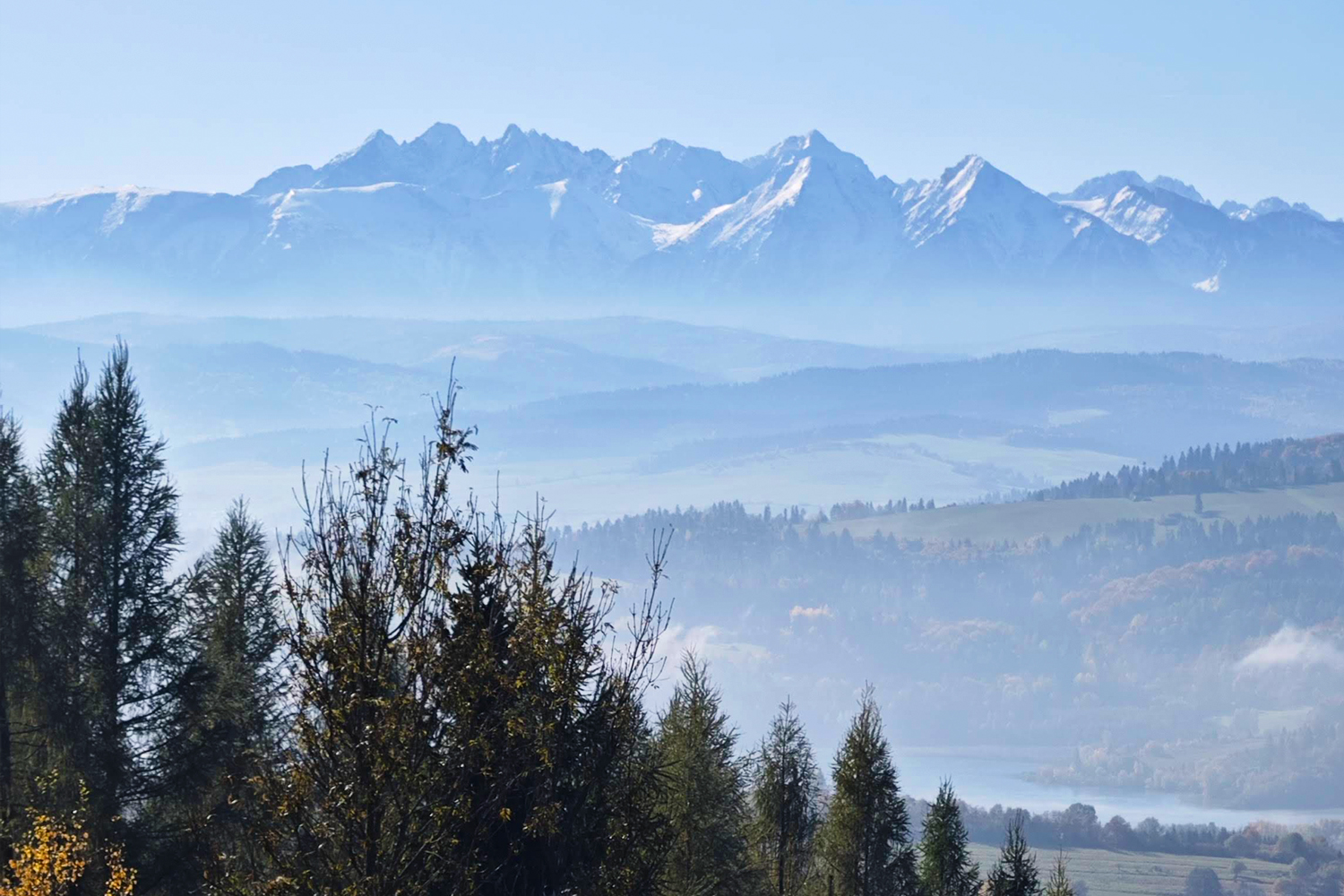 Magnetyczny Wdżar - 10