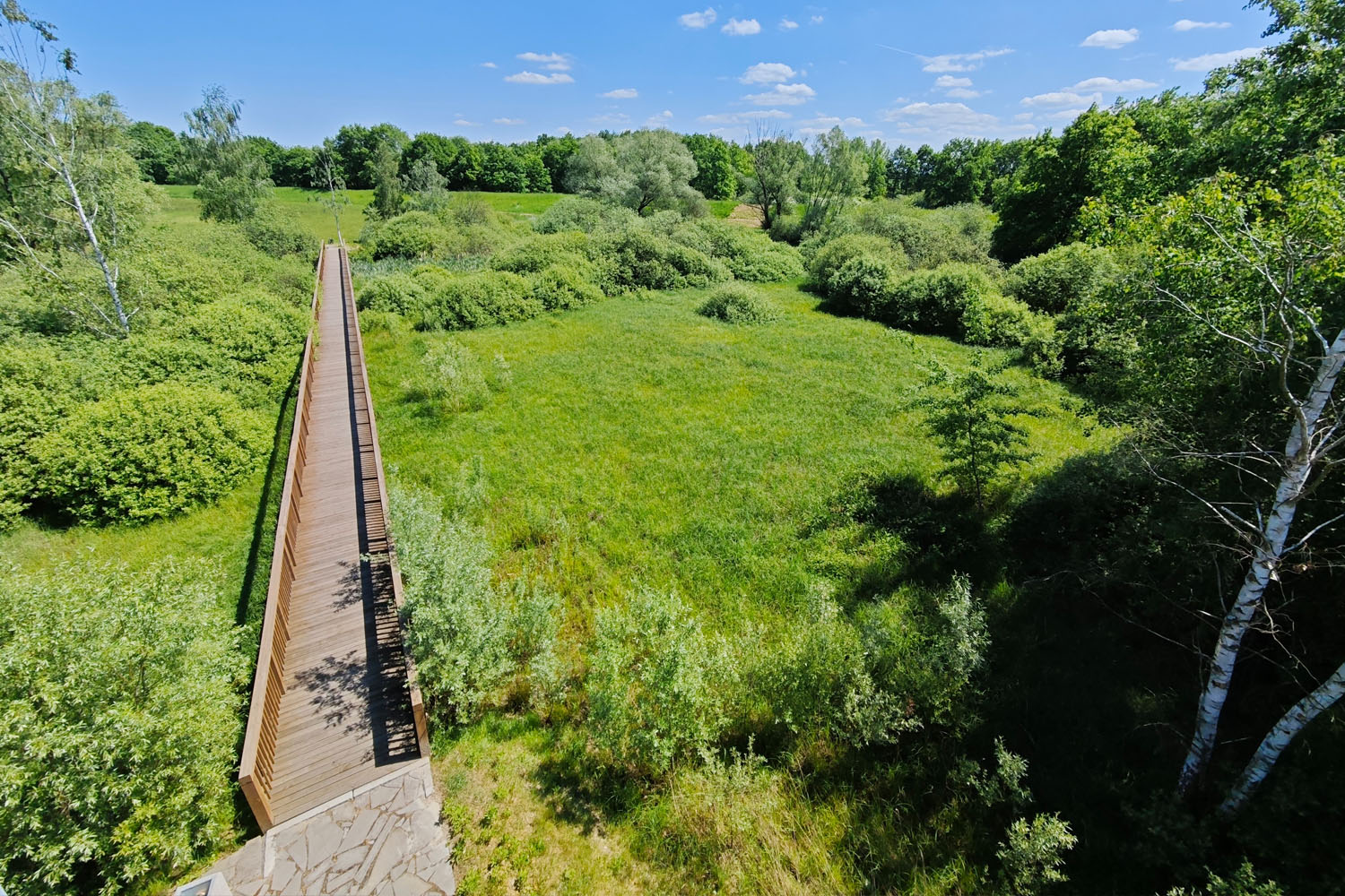 W puszczy, w rzek dolinach. Rajd przez gminę Drwinia - 4
