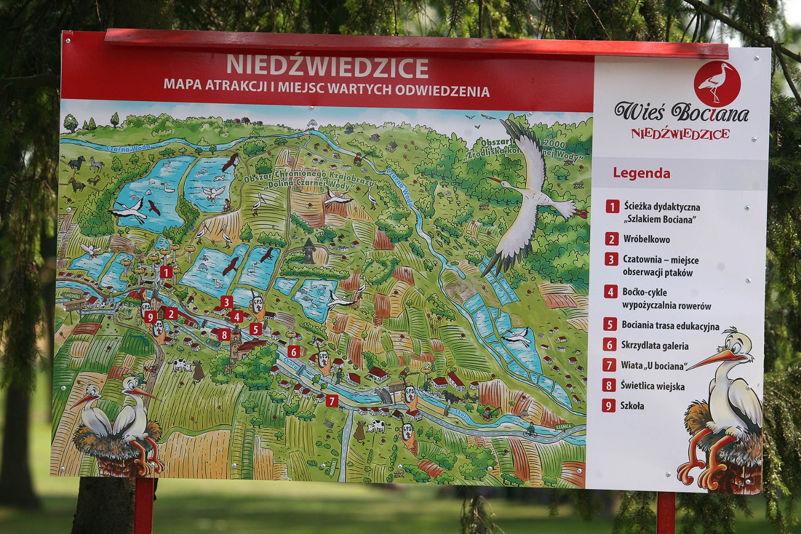 Przygoda z bocianem - 5