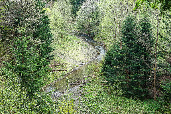 Dolina Przysłupianki skarbnicą czystego powietrza - 3