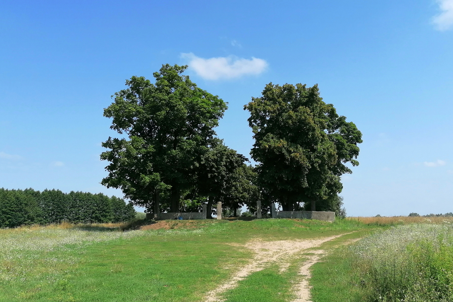 Quest – odkryj gminę Michałowice: Z duchem ułana wokół Dworu Polskiego - 3