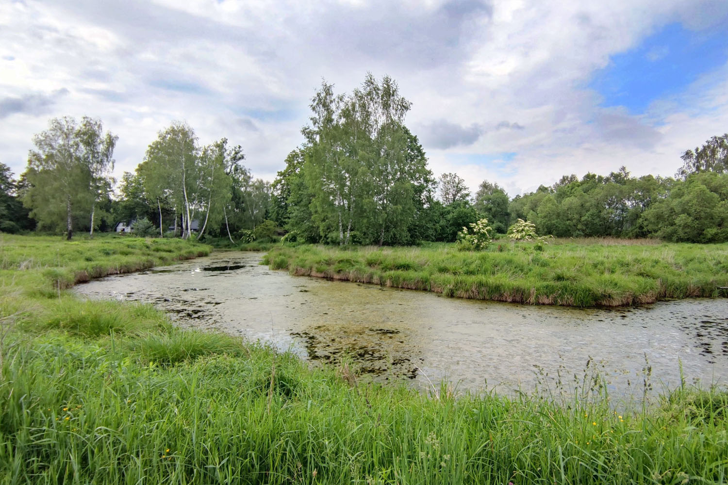 Zagubieni w przyrodzie Doliny Białej Przemszy - 4