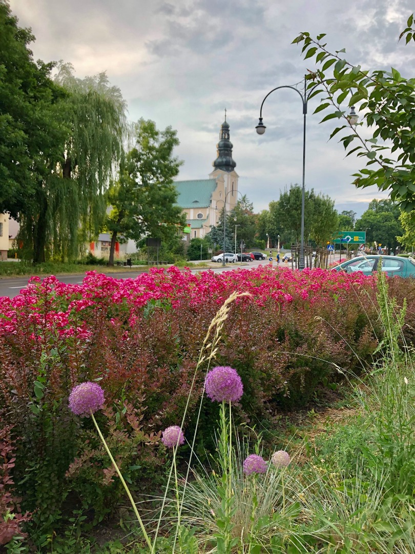 Trzcianka - tropem historii - 2