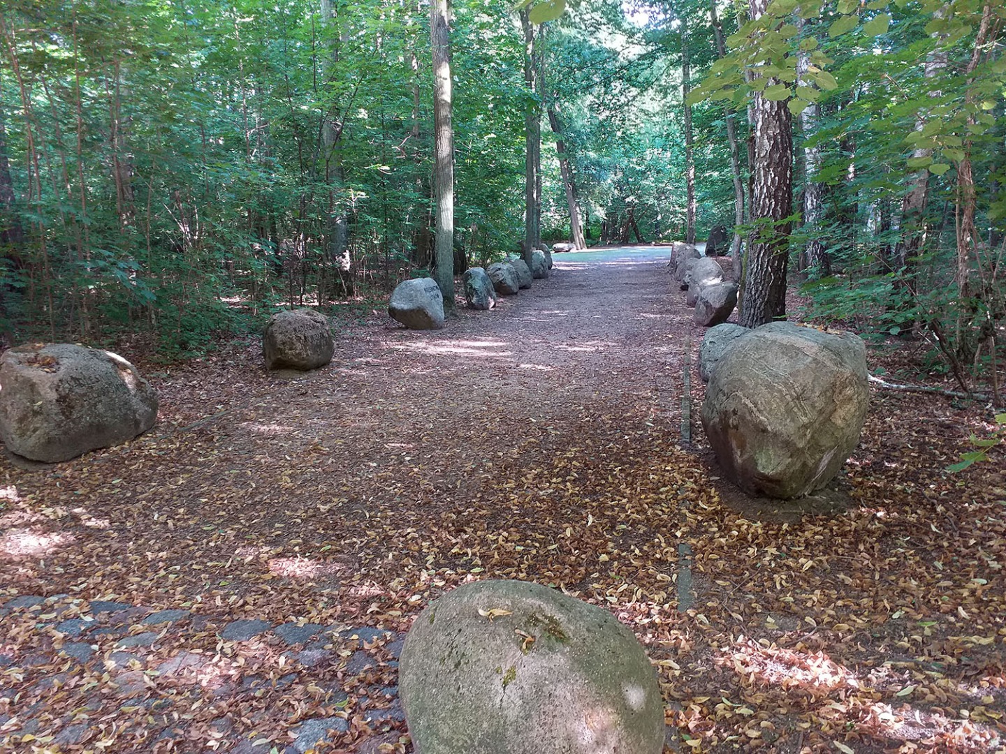 Skarby Zimnych Dołów - 6