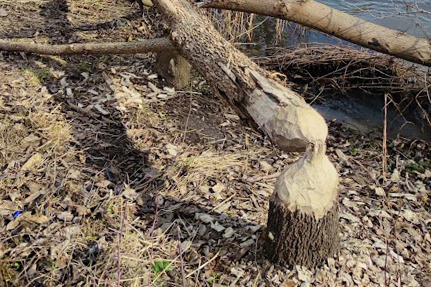 Skarby nieznane Woli Murowanej - 3