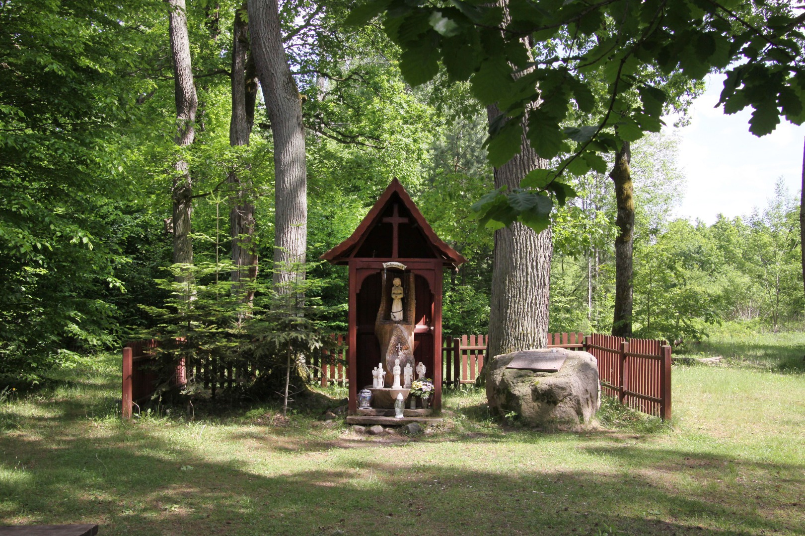 Szlakiem czterech rezerwatów w Puszczy Kozienickiej - 2