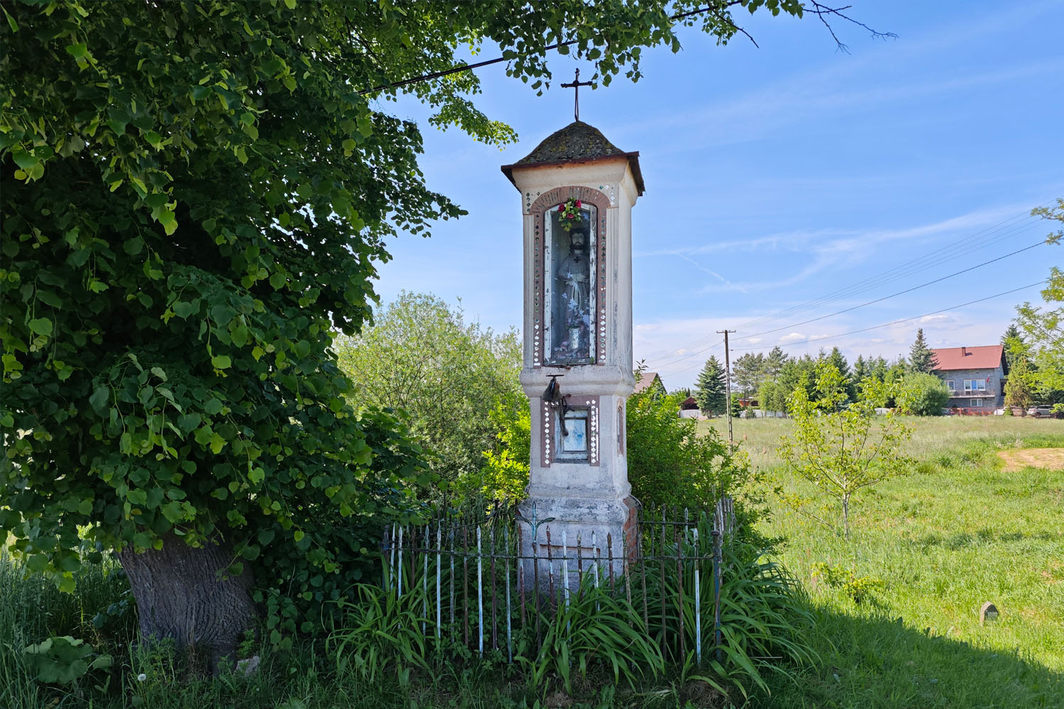 W puszczy, w rzek dolinach. Rajd przez gminę Drwinia - 3