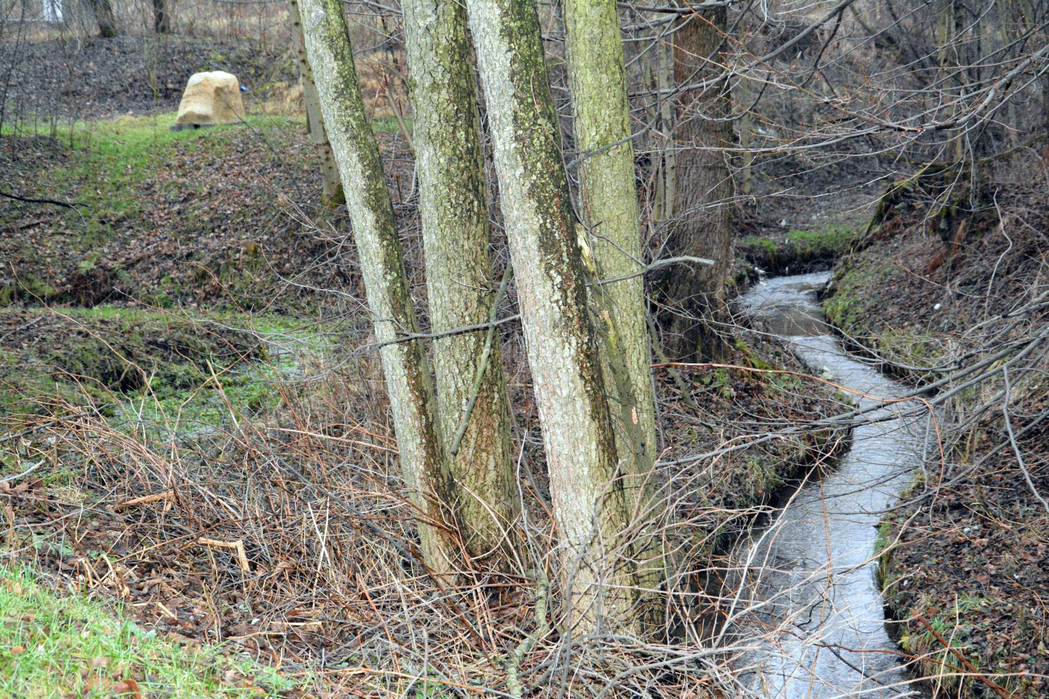 Dulowa – zaginiony świat wyryty w kamieniu - 3