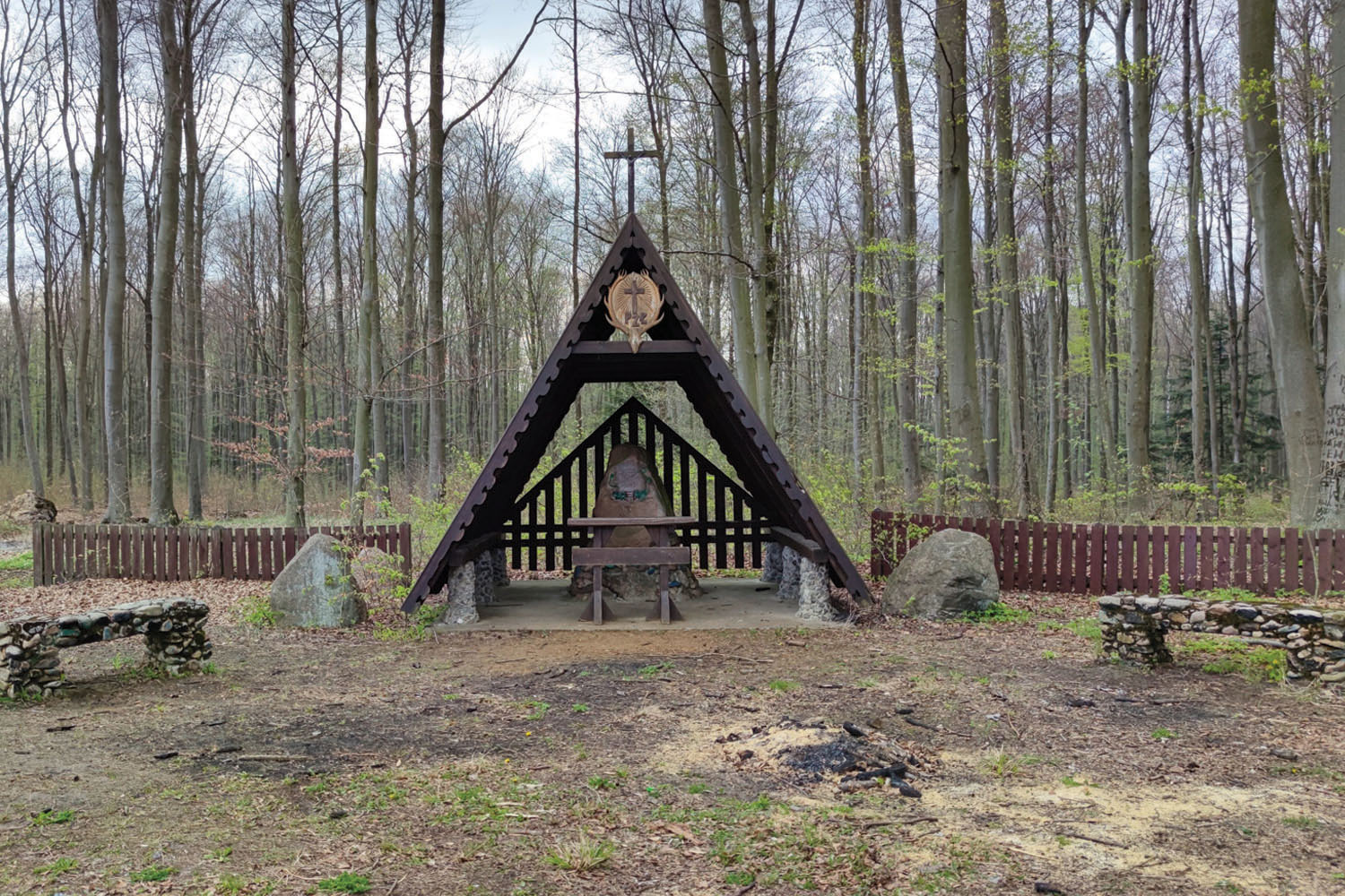 Wydrze - skarby lasów rodu Potockich - 2