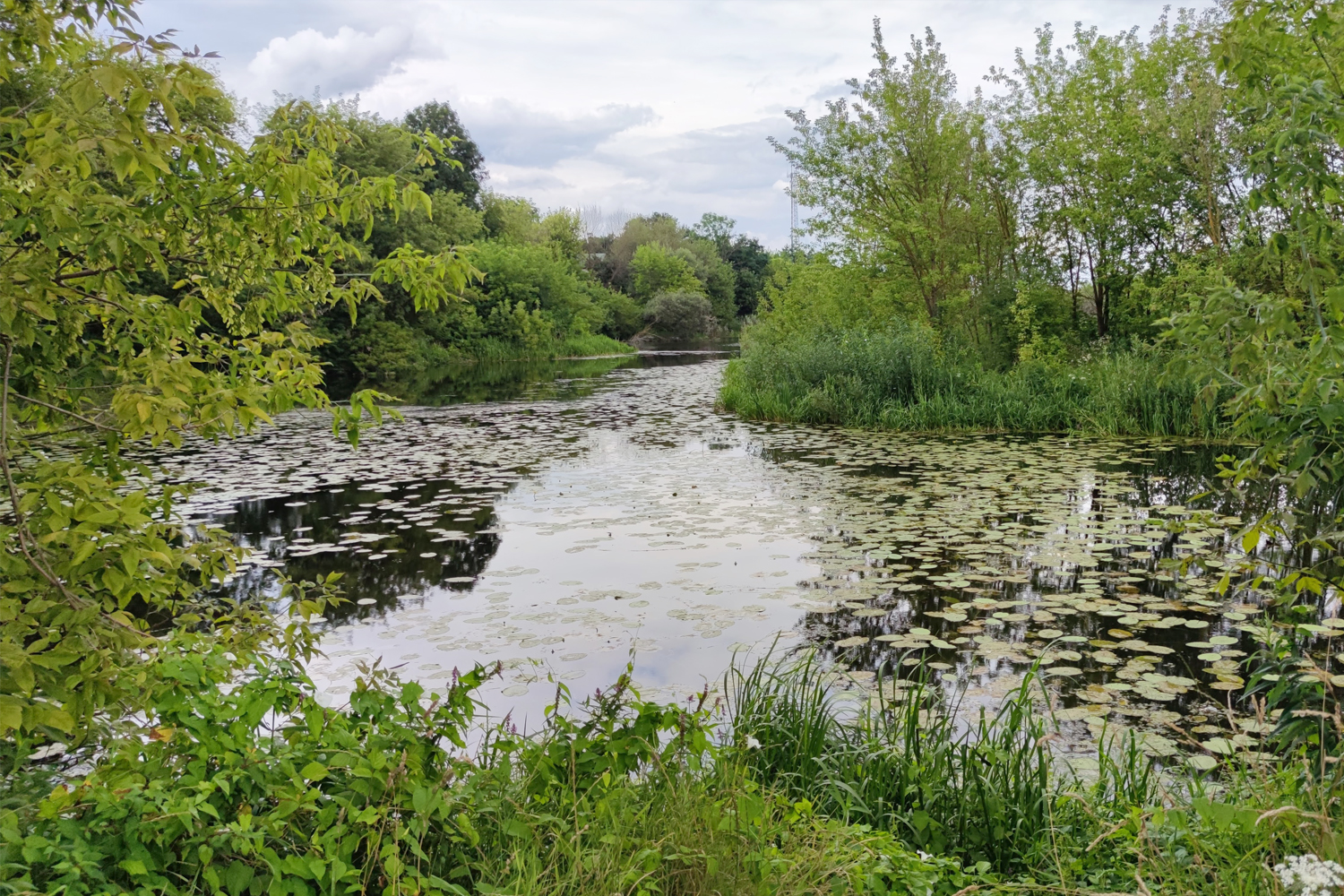 Wola Uhruska – nadbużański skarb - 3