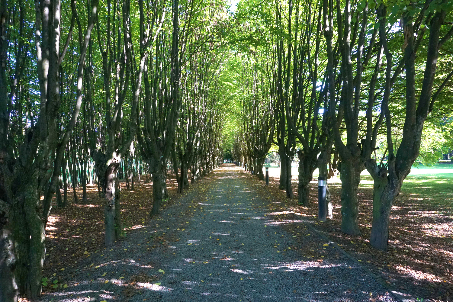 Zamek oczyma bohatera - 3