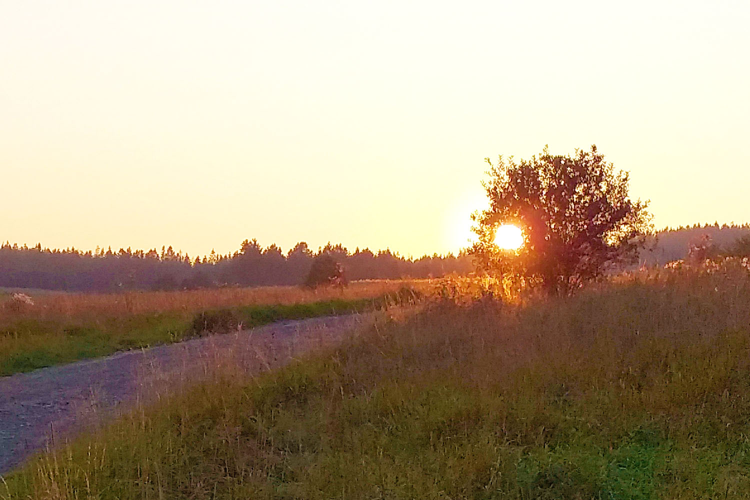 Śladami Apostoła Orawy - 5