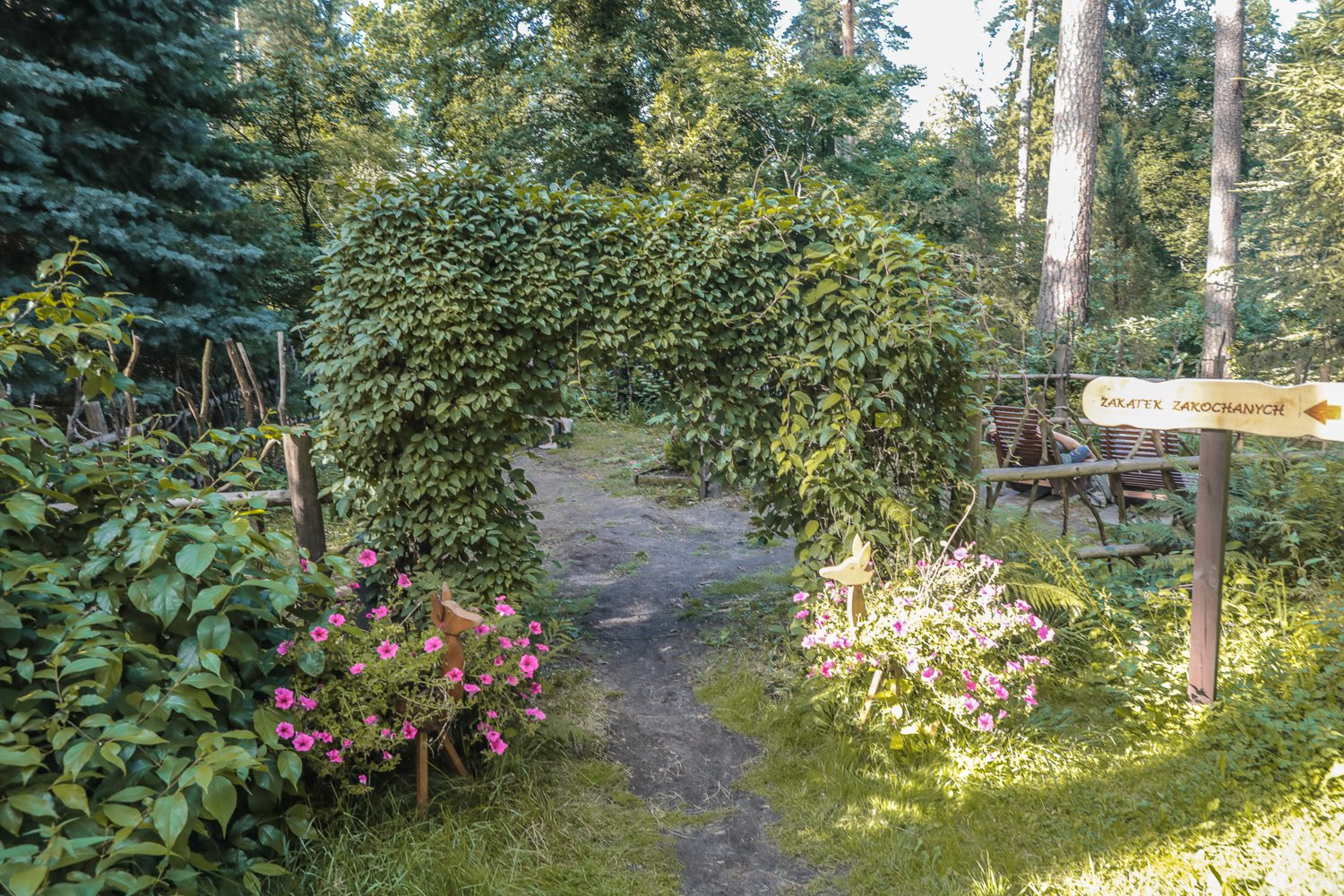 Wyprawa po Leśnym Arboretum Warmii i Mazur - 6