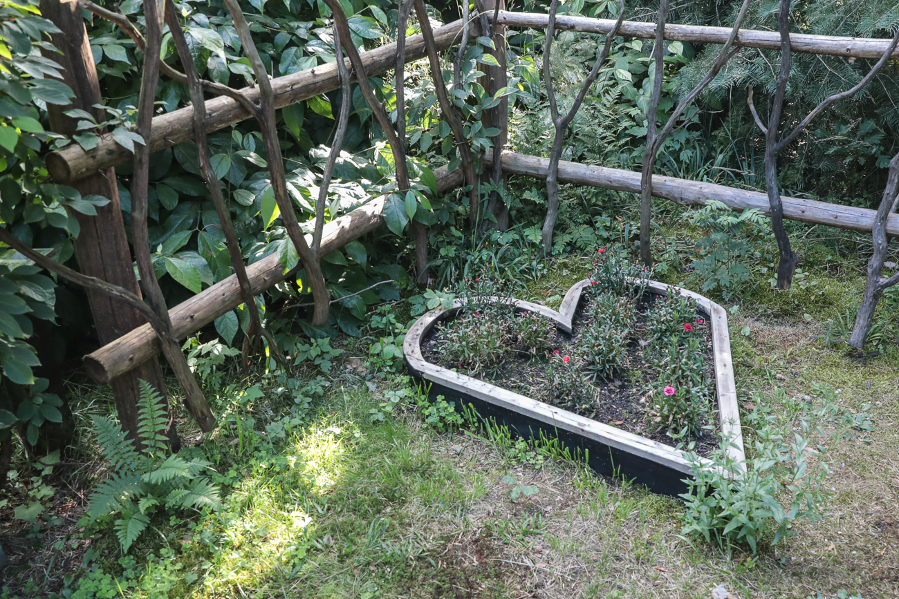 Wyprawa po Leśnym Arboretum Warmii i Mazur - 5