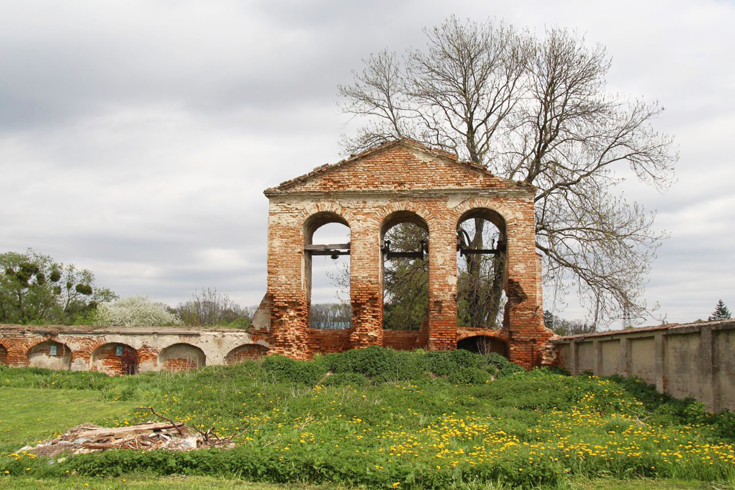 Tartakowska perła - 5