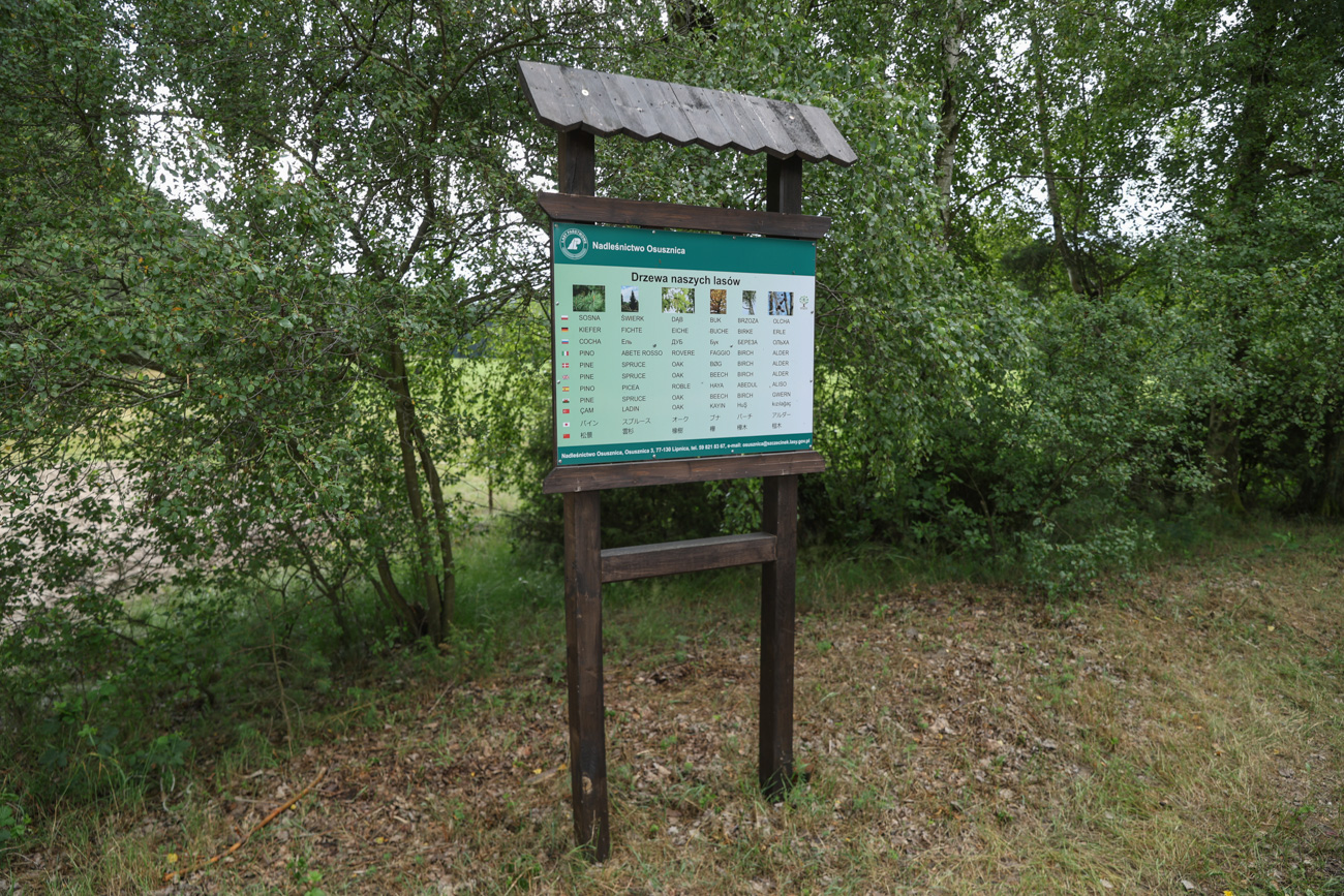 Czarnym szklakiem Kaszubskiej Marszruty - 20